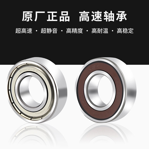 6003DDU 轴承