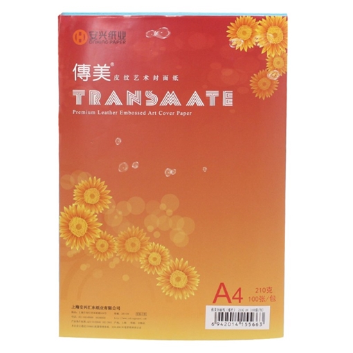 传美 A4 210克 封面 云彩纸 100张包